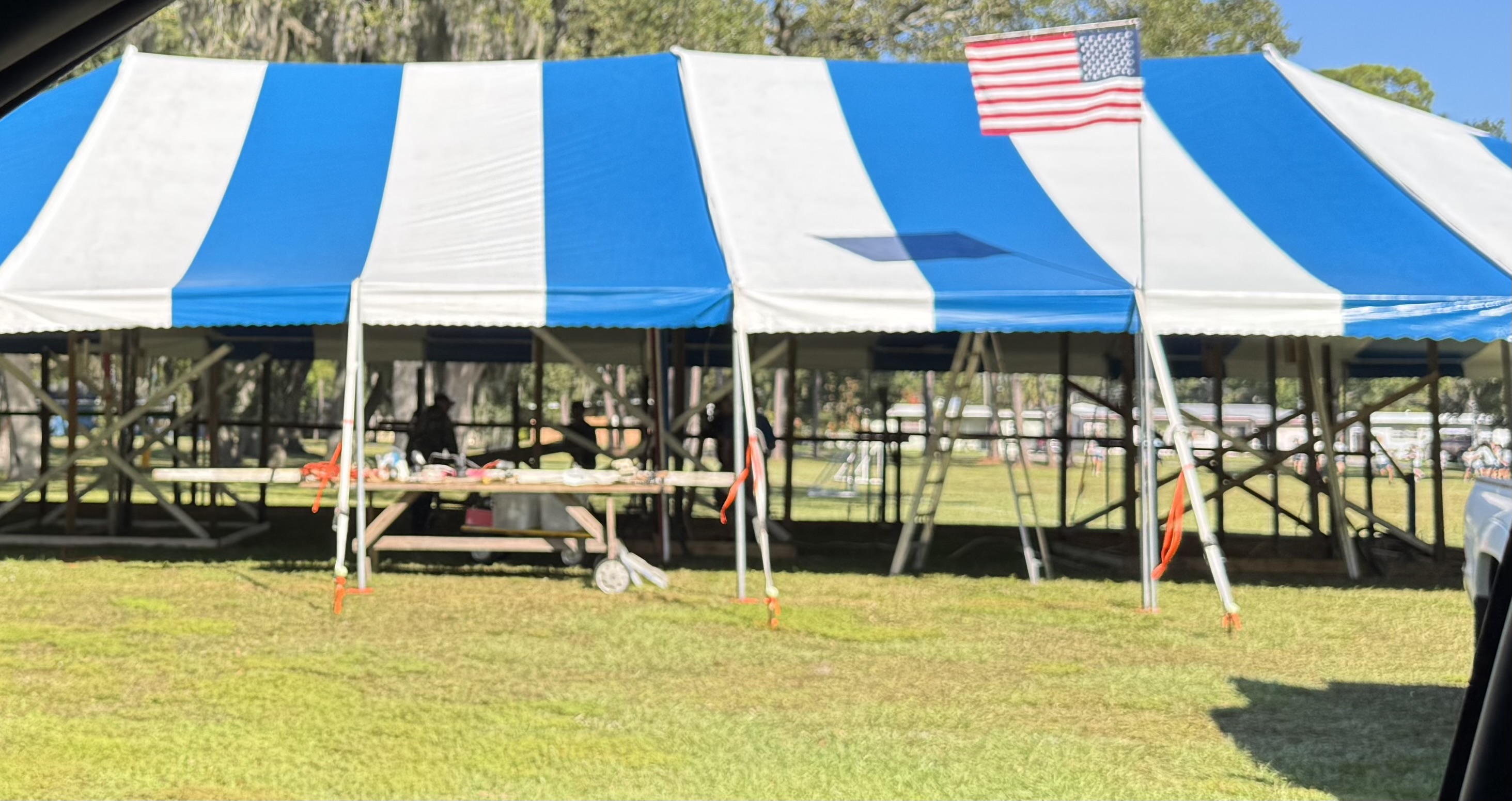 Knight Christmas tree lot